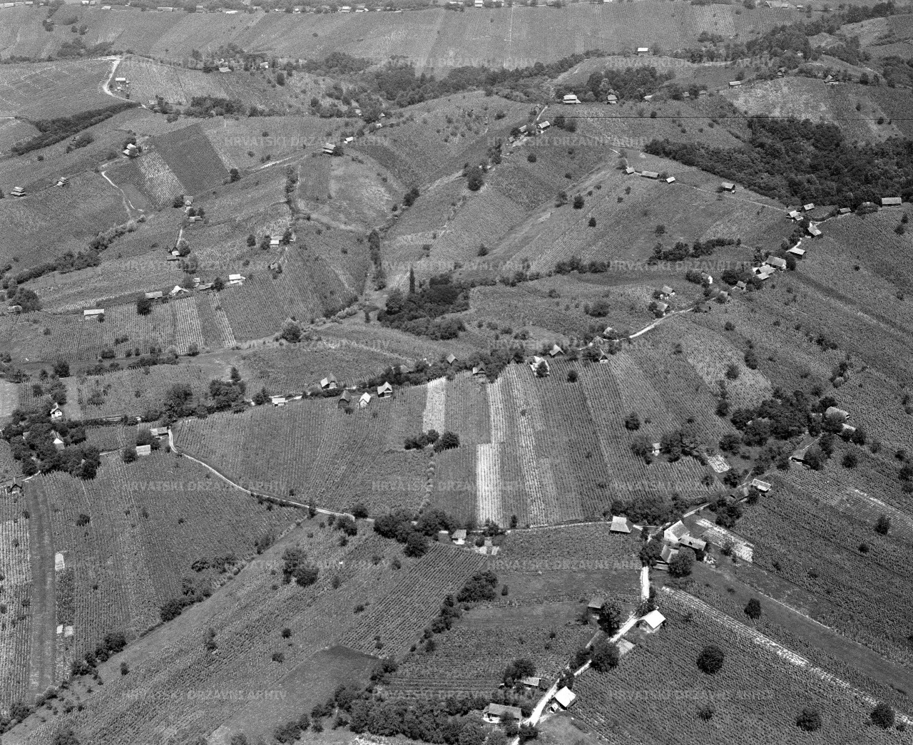 Moslavački vinogradi - avio snimak, 1965.