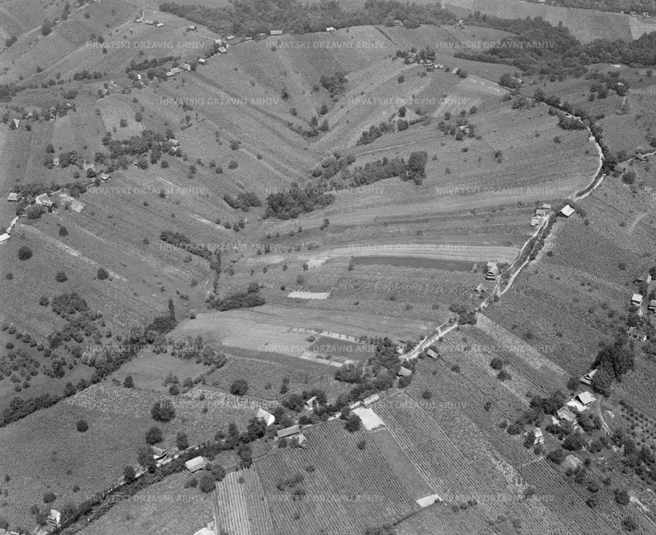 Moslavački vinogradi - avio snimak, 1965.