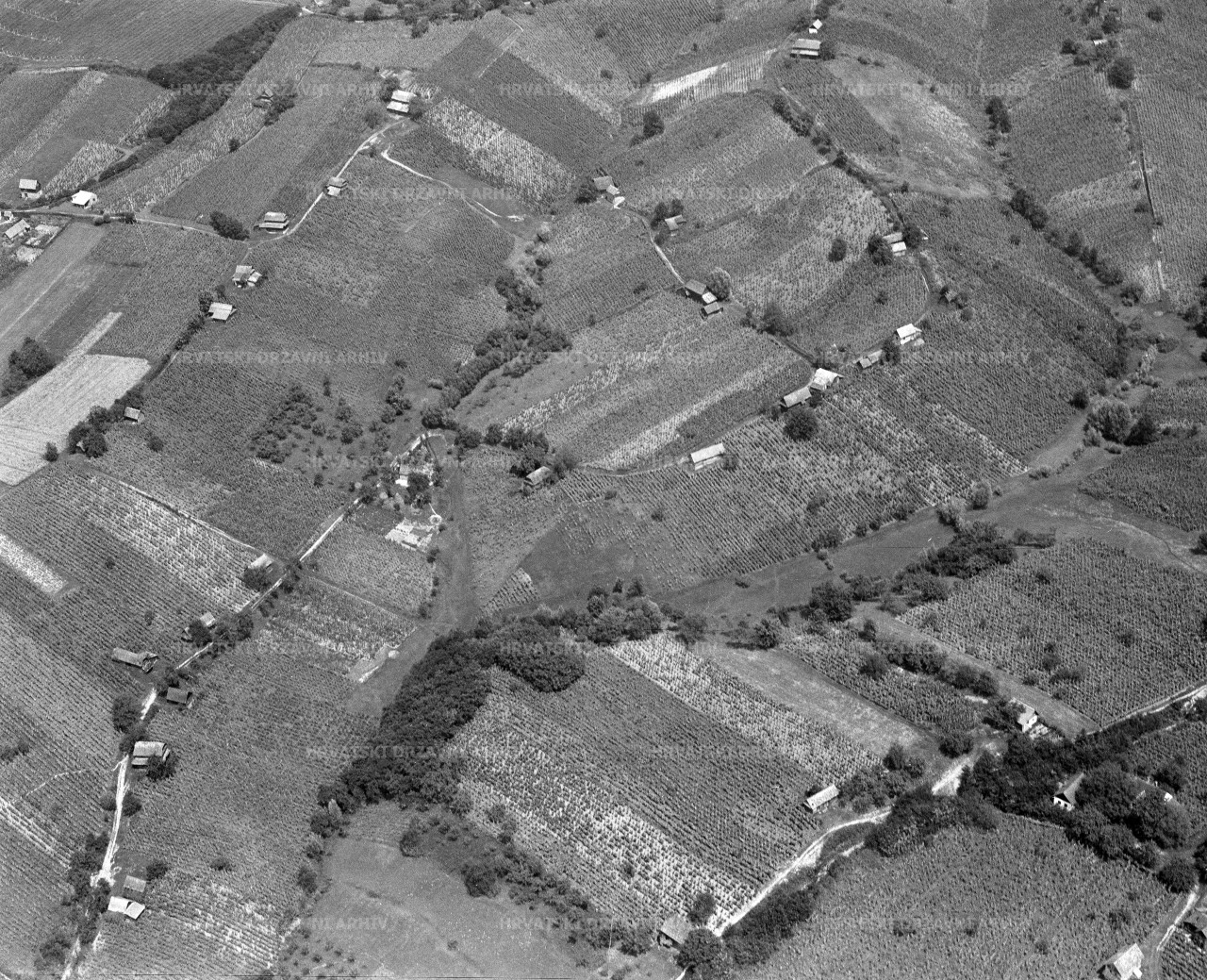 Moslavački vinogradi-avio snimak, 1980.