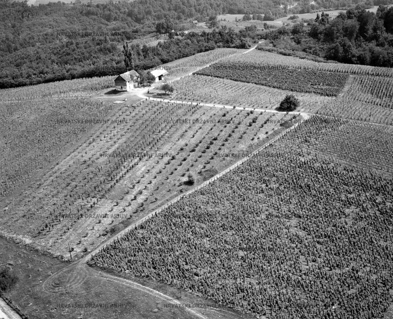 Moslavačko gorje -Voloder, 1962.