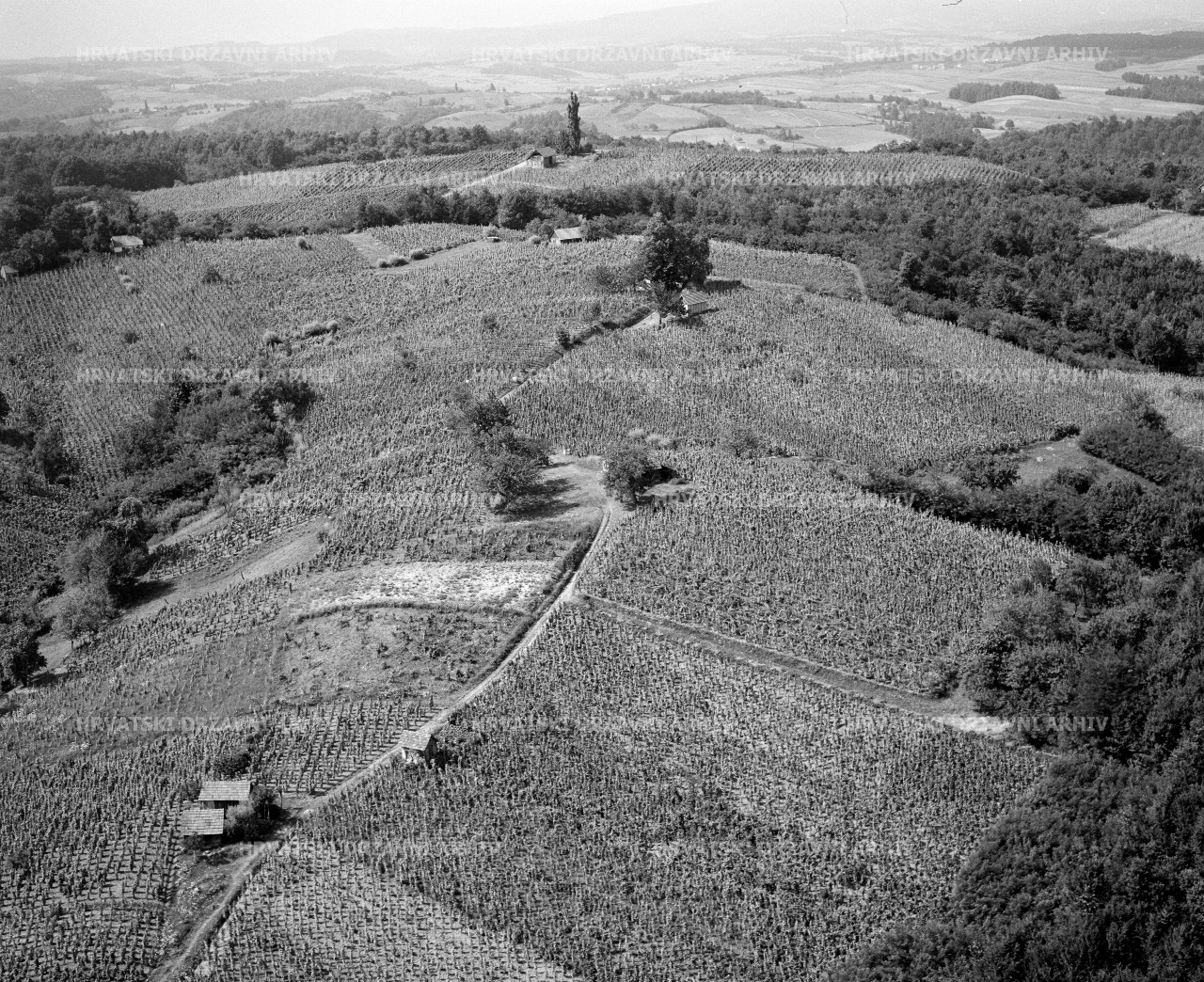Moslavačko gorje -Voloder, 1962.