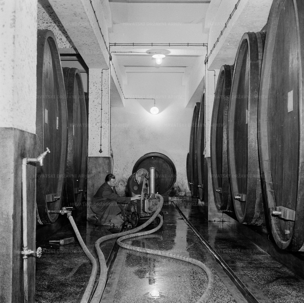 Fotografija pretoka vina u podrumu Moslavačkog vinogorja – Voloder, 1962.
