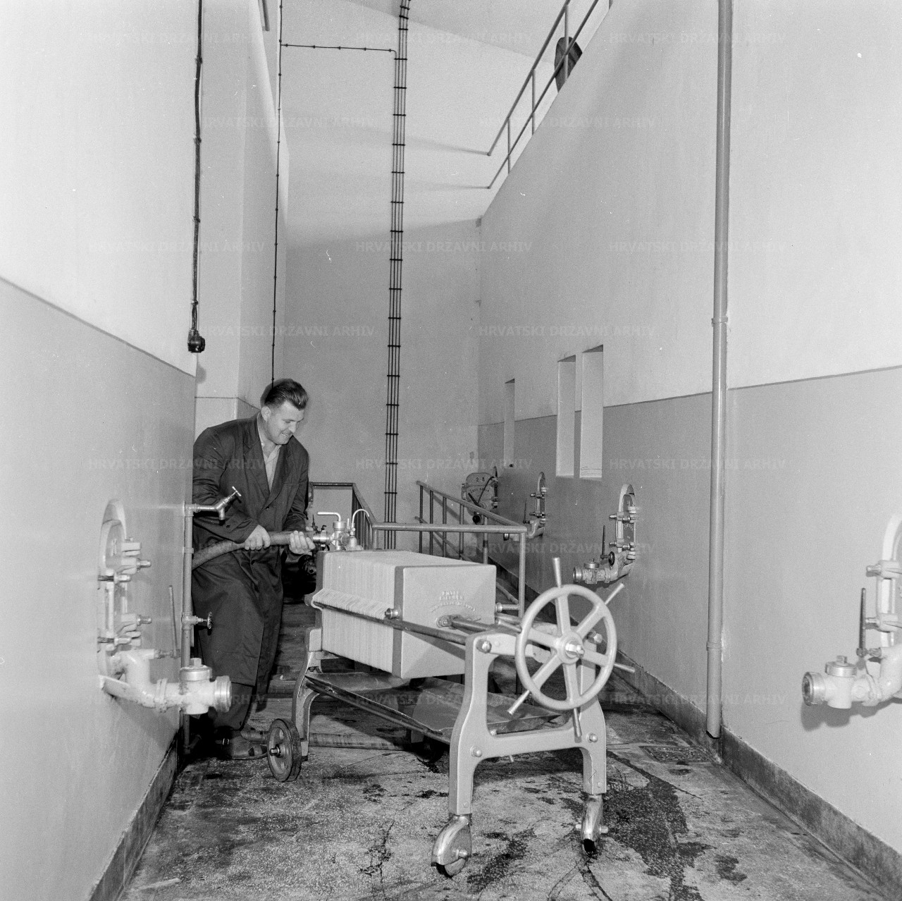 Fotografija filtriranja vina u podrumu Moslavačkog vinogorja – Voloder, 1962.