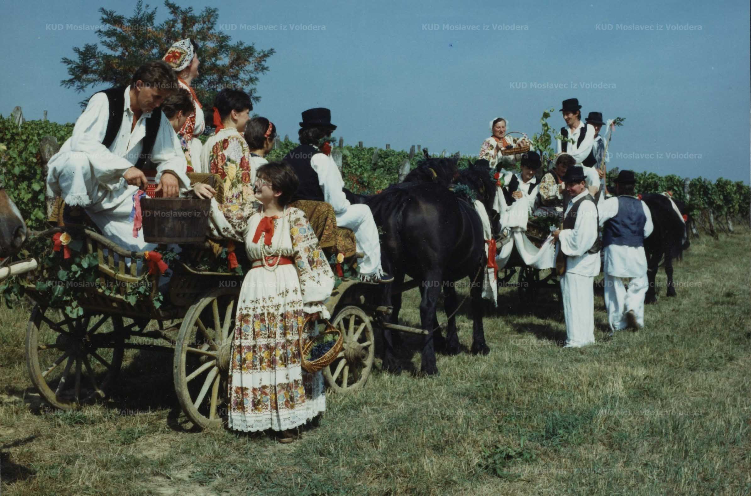 Fotografija odlaska iz berbe tijekom Voloderskih jeseni, 1993.