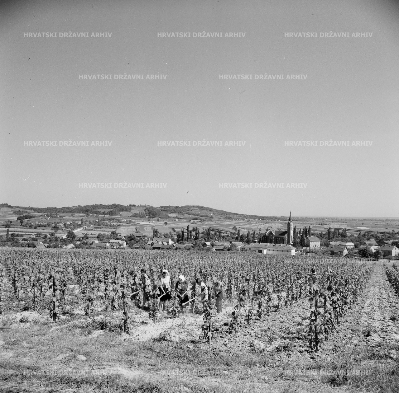 Voloder - Moslavačko vinogorje, 1962.