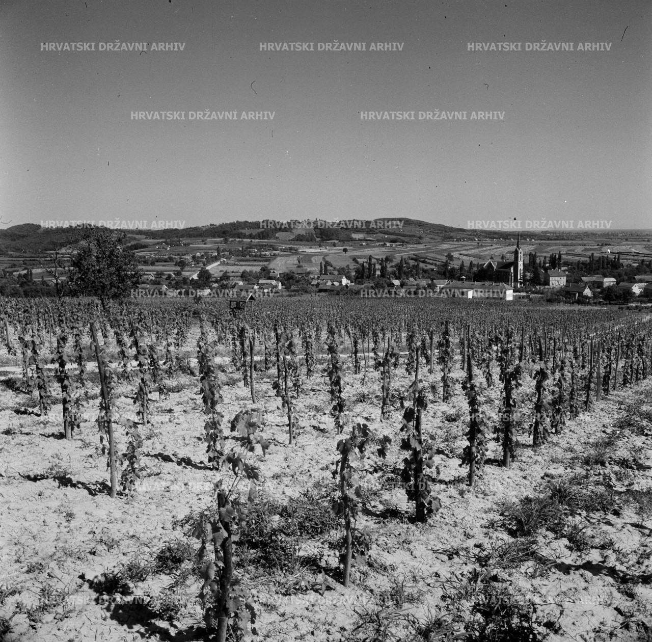 Voloder - Moslavačko vinogorje, 1962.